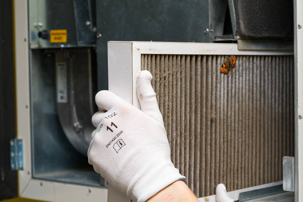 Best Affordable Duct Cleaning Services  in Exmore, VA